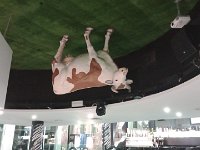 Imatge de WhatsApp 2025-09-16 a les 15.51.27 c893d746